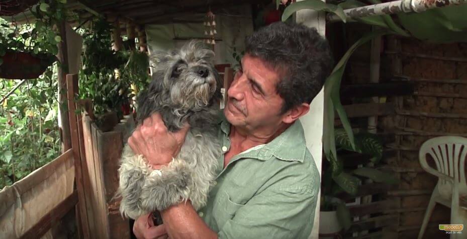 perros