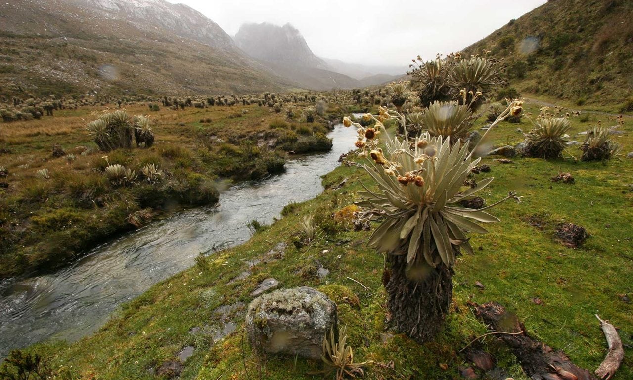 Política Nacional de Cambio Climático