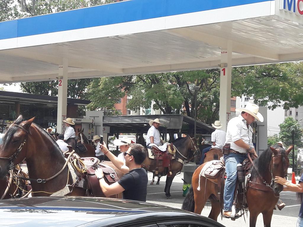 Algunas personas se desplazaron en sus caballos en el día sin carro en Medellín