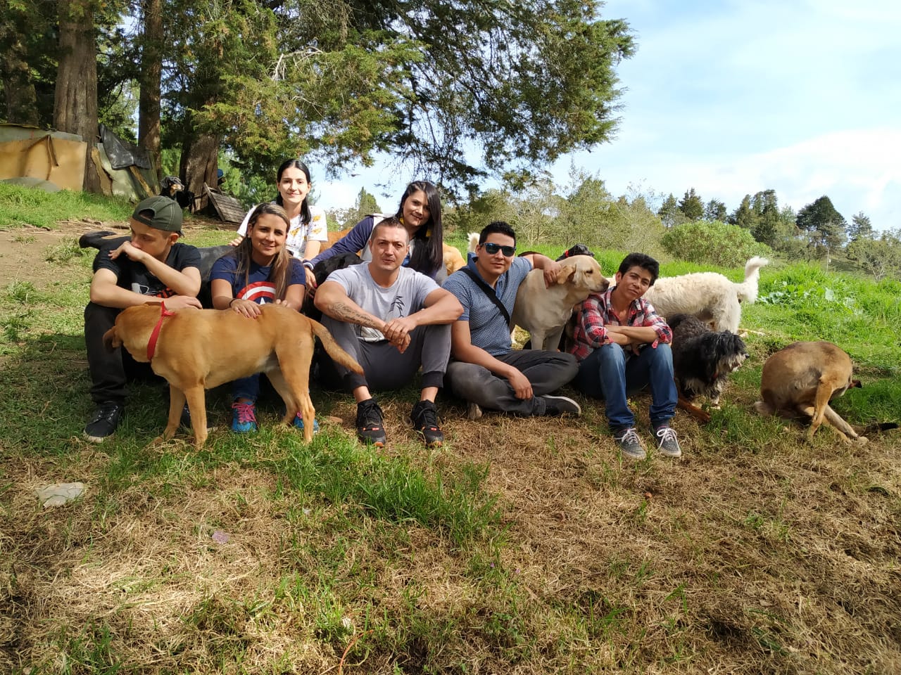 Refugio animal en Guarne recibió donaciones, tras matanza de 14 perros