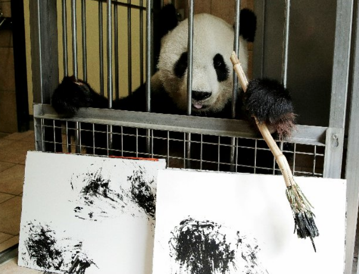 Yang Yang, la osa panda que crea obras de arte con un pincel de bambú