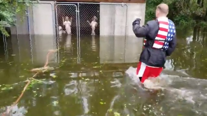 Un hombre salvó a perros encerrados en jaula durante el huracán Florence