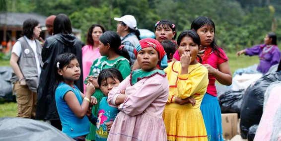 1.340 familias indígenas han regresado a sus tierras