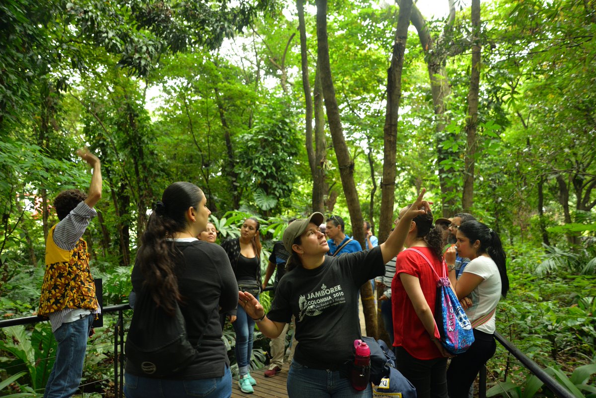 Visitas guiadas para recorrer el Jardín Botánico de Medellín