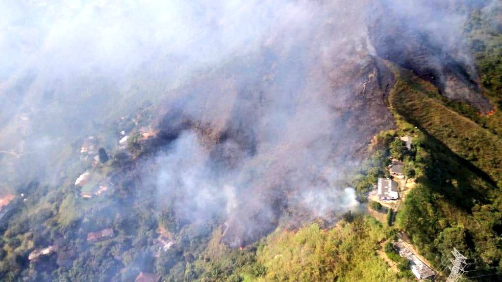 Pese a Fenómeno de La Niña, zonas afectadas por incendios forestales no podrán recuperarse