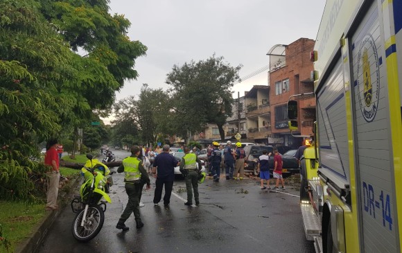 Una persona falleció tras caerle un árbol en el barrio Guayabal