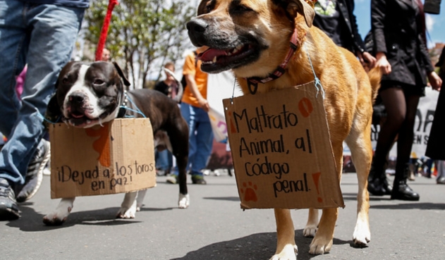 Este domingo se realizará una marcha nacional contra el maltrato animal