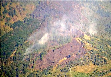 En lo corrido del año van 147 conflagraciones forestales en Medellín