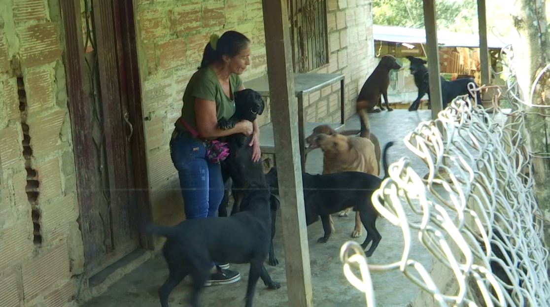 Margarita, la protectora de animales de Barbosa, busca un hogar para ella y sus 85 mascotas