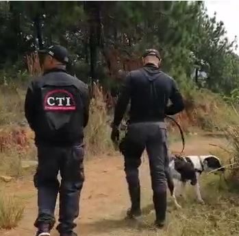 Con caninos especializados del CTI buscan mujer desaparecida hace 55 días