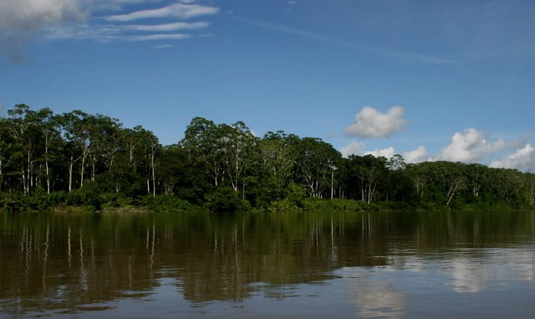 Inicia revisión de sentencia que catalogó sujeto de derechos a la Amazonía colombiana