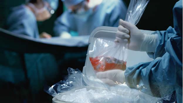 La donación de órganos de una persona puede salvar 55 vidas