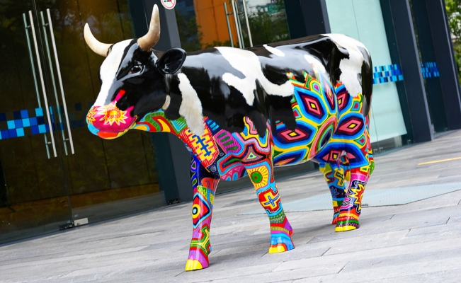 CowParade, artistas locales plasmarán cultura y fauna en vacas