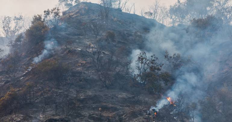 Dagrd ha atendido 80 incendios forestales en 43 días en Medellín