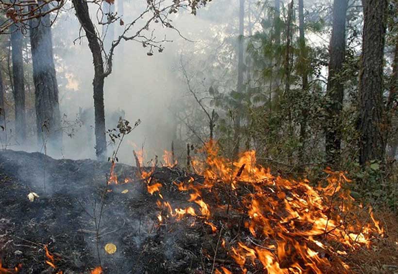 Recomendaciones para evitar incendios forestales