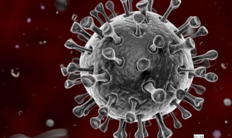 Coronavirus en Colombia: el país supera los 145.000 infectados
