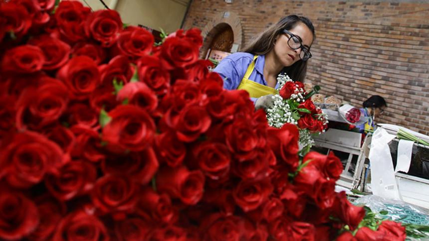 ¿Necesita trabajo? En Antioquia hay más de 600 vacantes para trabajar como floricultores