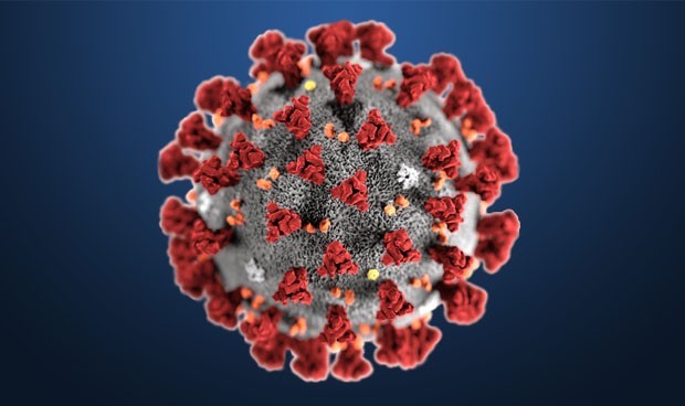 Coronavirus en Colombia: 3.721 casos nuevos y 122 fallecidos