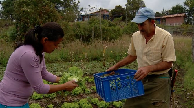 Campesinos distribuirán 1.300 kilos de alimentas en tiendas de barrio en Medellín