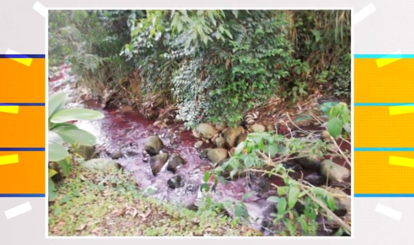 Autoridades identificaron empresa responsable de contaminar la quebrada Doña María