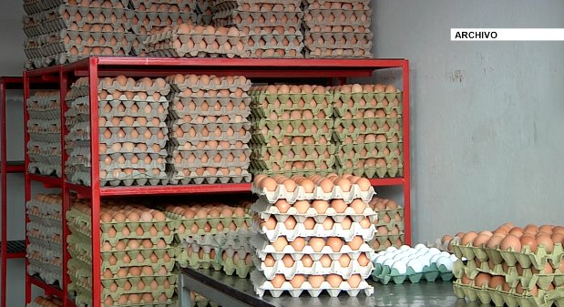 Proyecto de ley busca etiquetar los huevos en Colombia