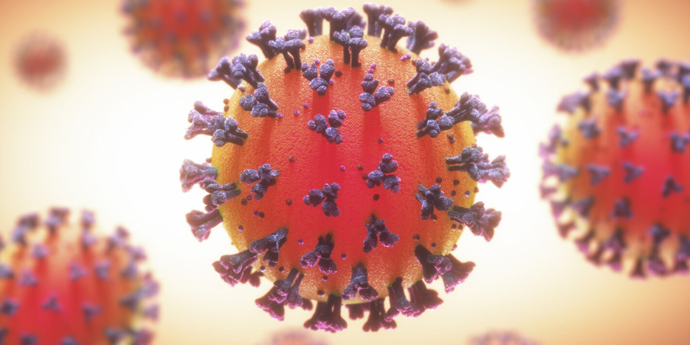 El coronavirus podría convertirse en endemia