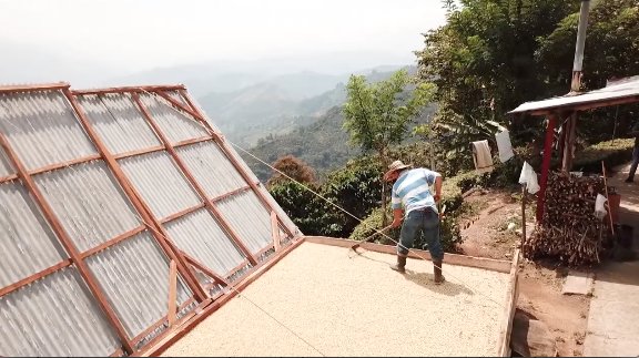 En Antioquia se necesitan recolectores para cosecha cafetera