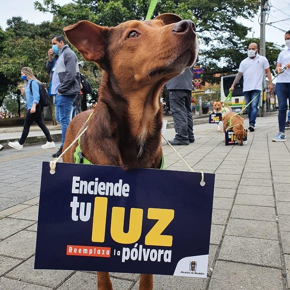 Alcaldía de Medellín lanza campaña para prevenir el uso de la pólvora