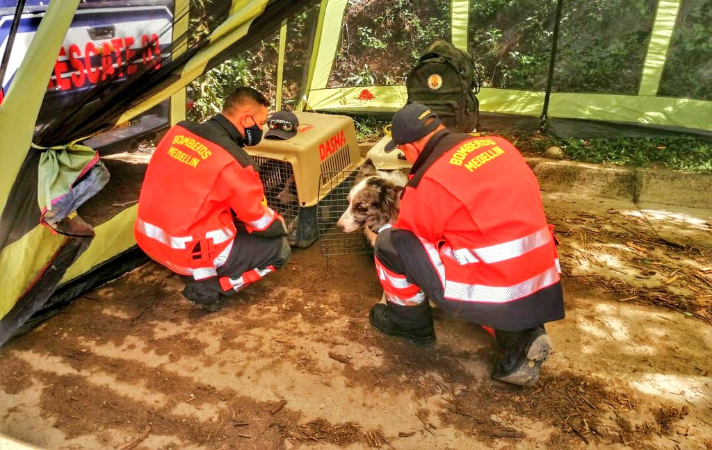 DAGRD apoya con tres unidades de bomberos y caninos búsqueda en Dabeiba