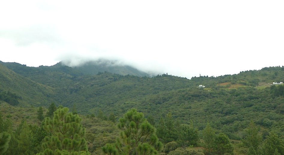 Declarado Cerro Quitasol como área protegida