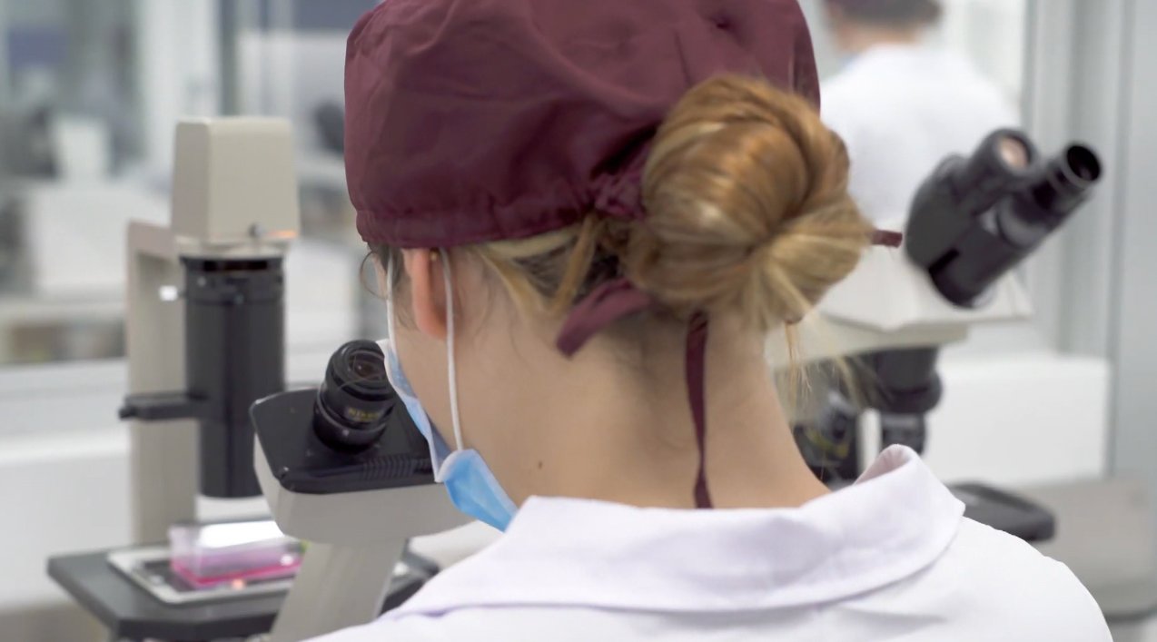 CES lanza dos laboratorios cosméticos sin pruebas en animales