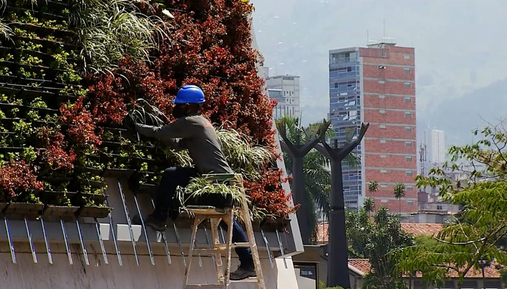 Jardín vertical fue instalado en la fachada del concejo de Medellín 