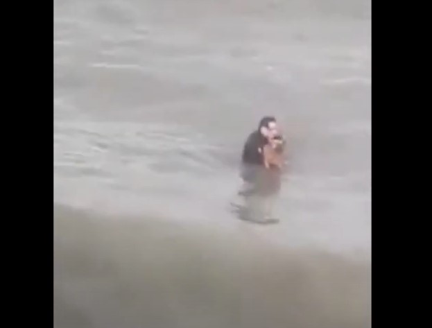 (Video) Hombre se tiró al mar para salvarle la vida a perrito que se ahogaba