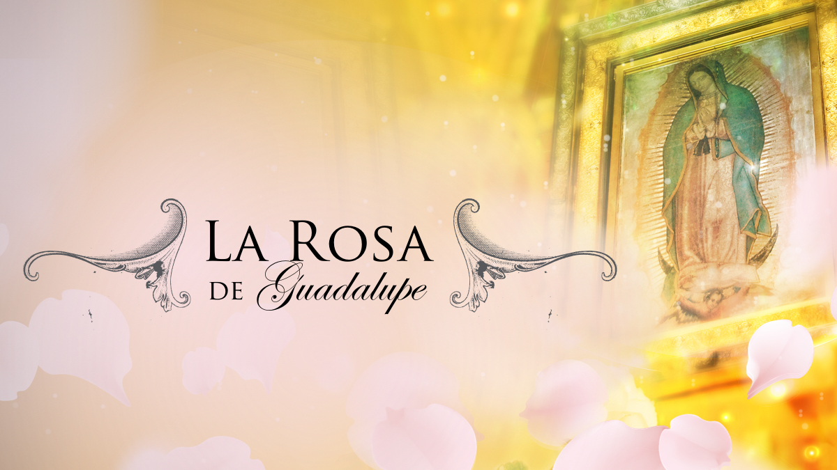 Muere reconocido protagonista de La Rosa de Guadalupe