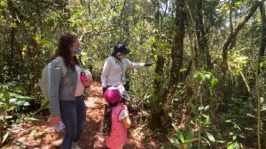  PARQUE ARVÍ ESPERA LLEGAR A 1 MILLÓN DE VISITANTES EN 2021