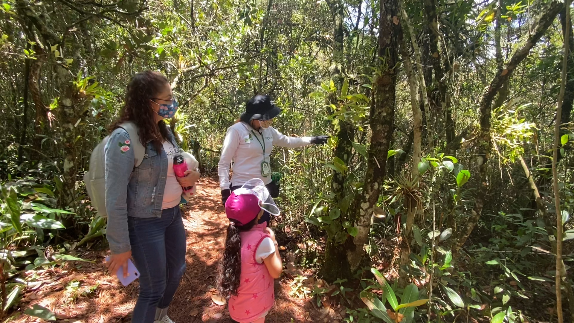 Parque Arví espera llegar a 1 millón de visitantes en 2021