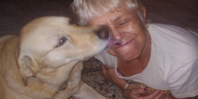 Anciana enfrenta a un cocodrilo para salvarle la vida a su perrito