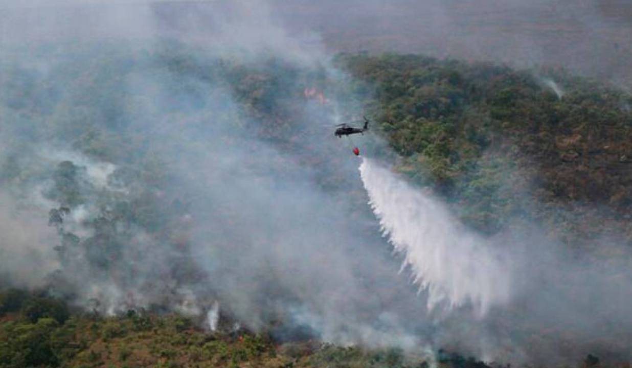 Incendios consumieron 15 mil hectáreas en Guaviare