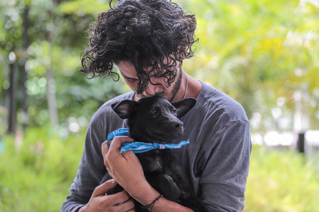 116 animales de compañía encontraron una familia en la Adoptatón de Medellín