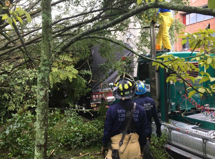 Fuertes lluvias causaron caída de árboles en el Valle de Aburrá