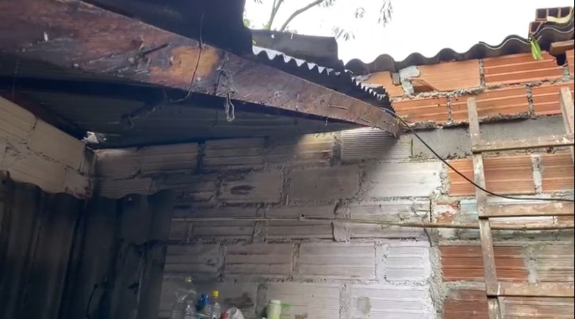 Por las lluvias, un árbol cayó sobre una vivienda en Campo Valdés