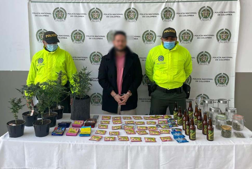 Copacabana: capturan a un hombre que tenía cultivo de marihuana en su casa