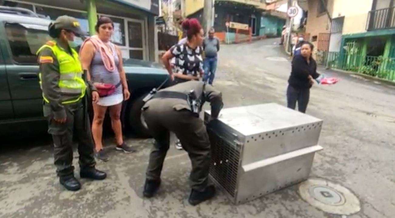 Capturan dos hombres por maltrato animal en Medellín y Bello