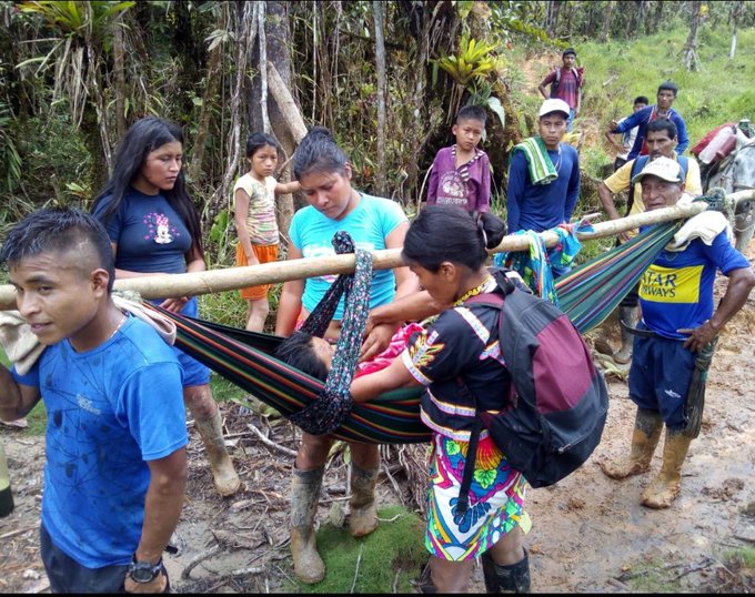 Docente indígena murió al ser mordida por una serpiente en Frontino, Antioquia