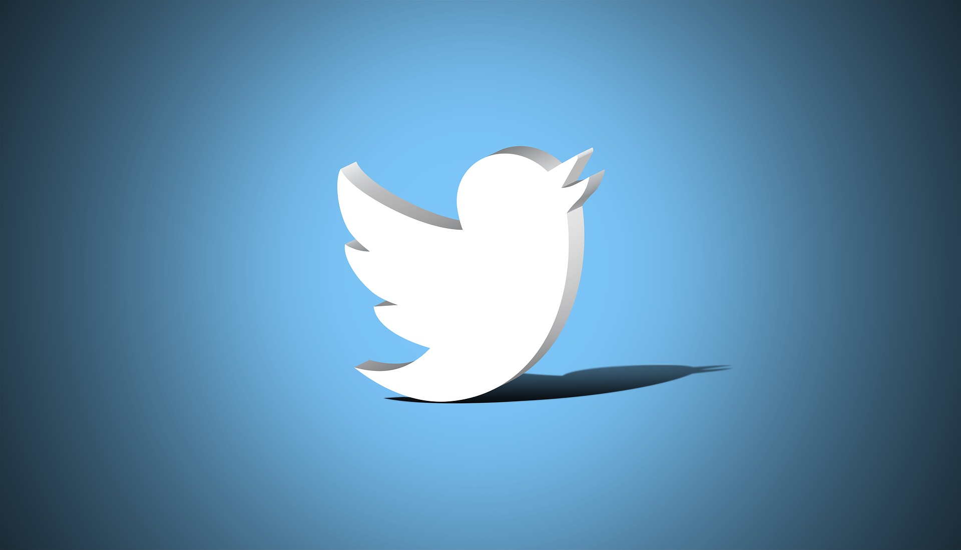 Nuevo dueño de Twitter plantea cobrarles a algunos usuarios