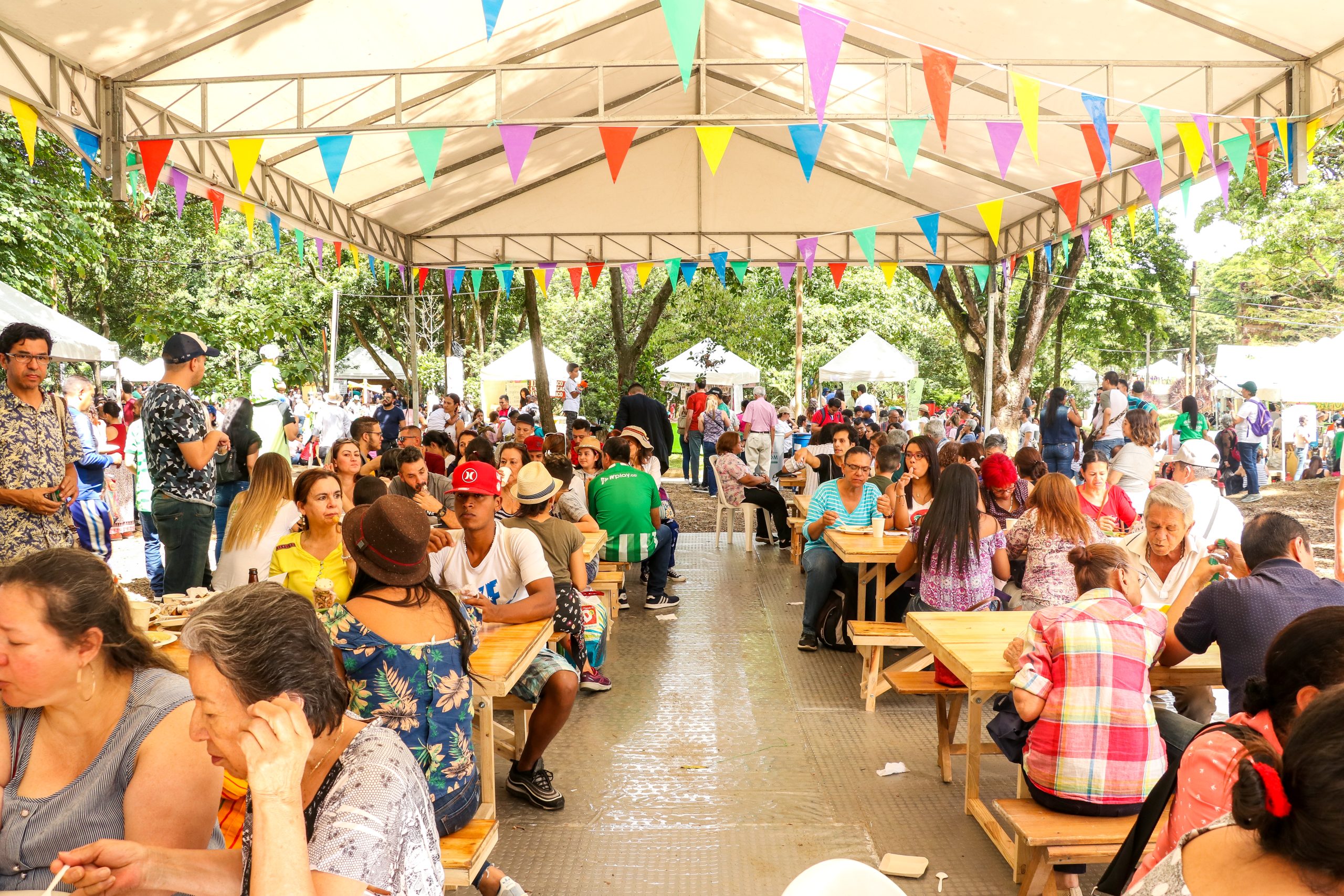 Vuelve el Bazar de la Confianza al Jardín Botánico