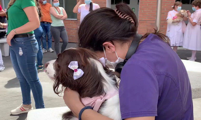 Caninos acompañaron a niños hospitalizados en el Hospital General de Medellín