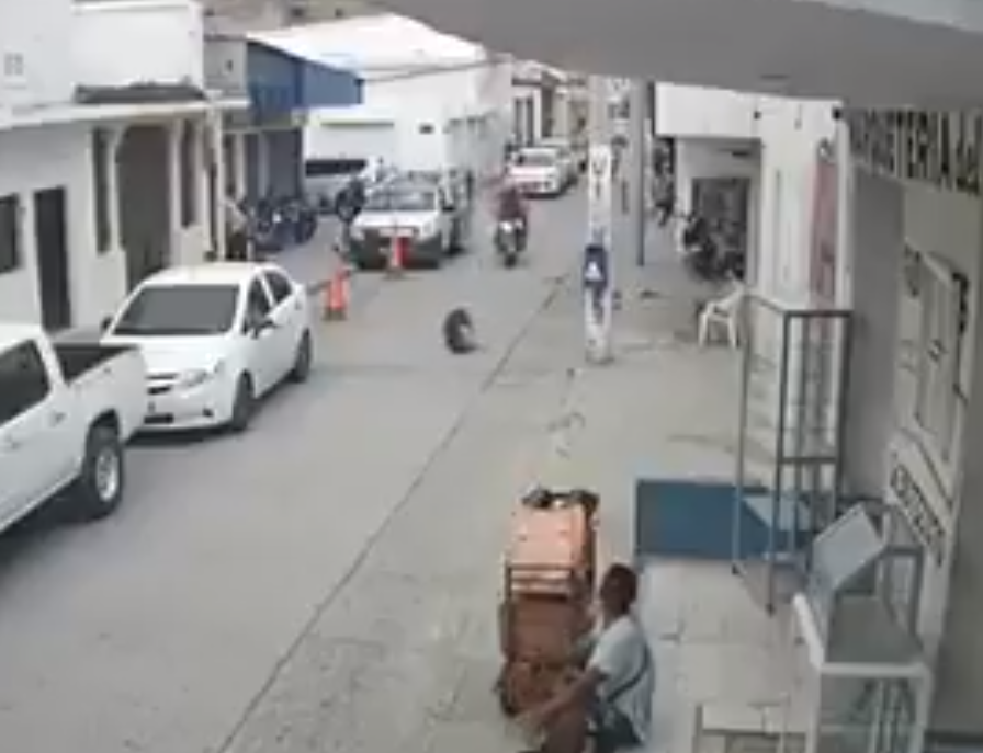 (VIDEO) Perro es lanzado desde un edificio en Santa Marta