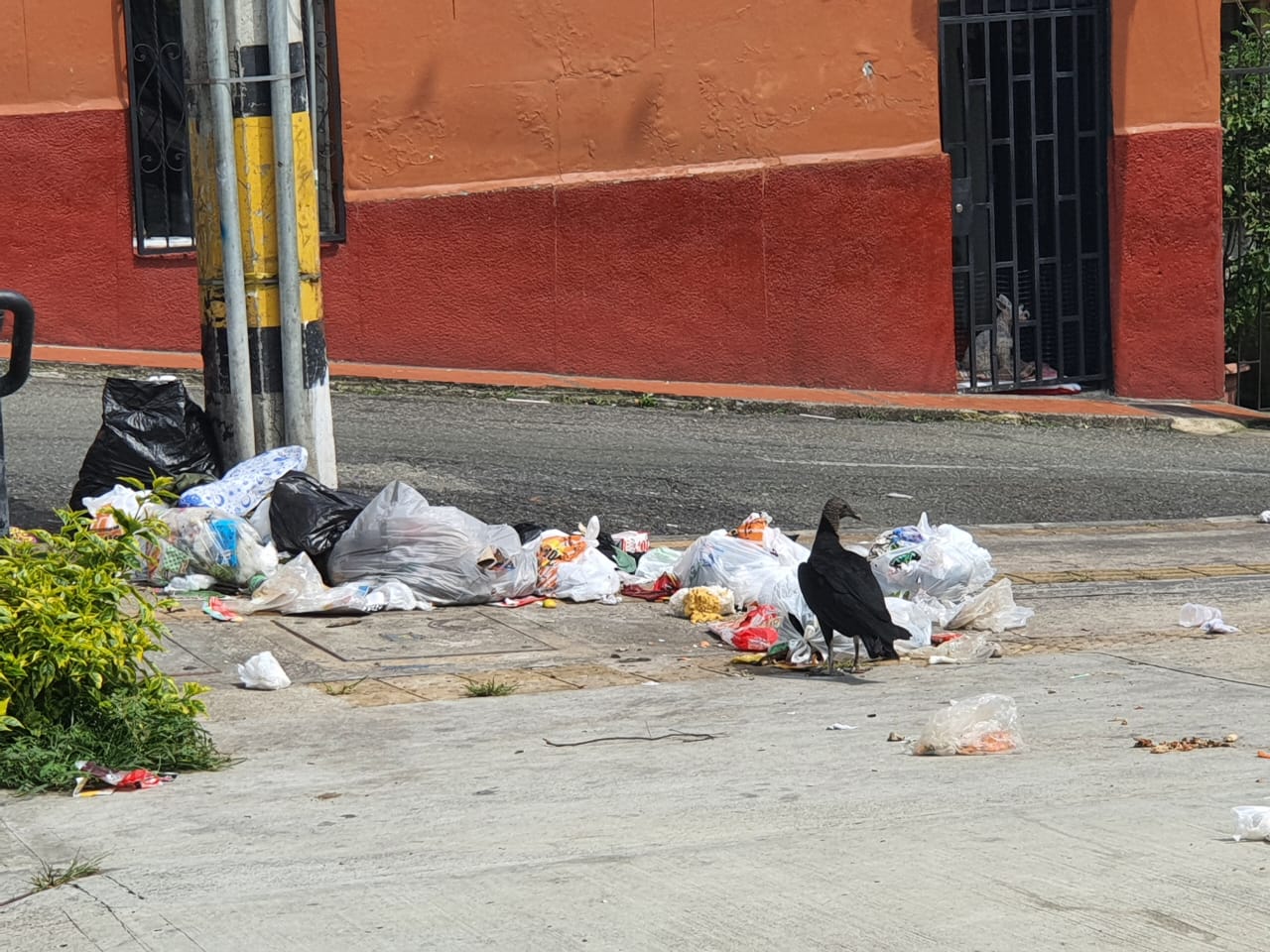 Basura en varios puntos sería por descuido de ciudadanos: Personería