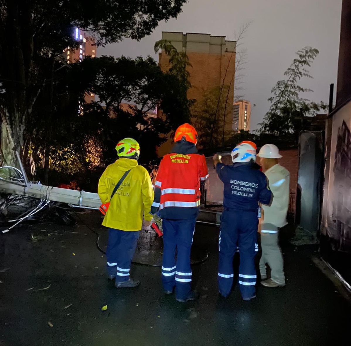 Bomberos atendieron caída de árboles en El Tesoro